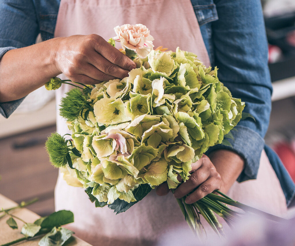 Quais fatores melhoram a classificação comercial das suas flores e como a nanotecnologia pode ajudar?