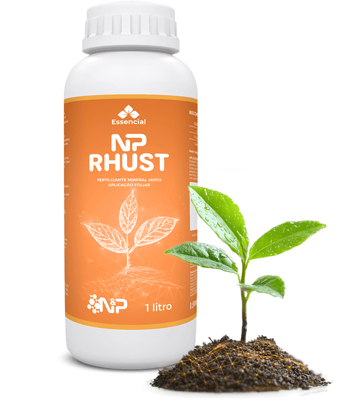 Np rhust mockup